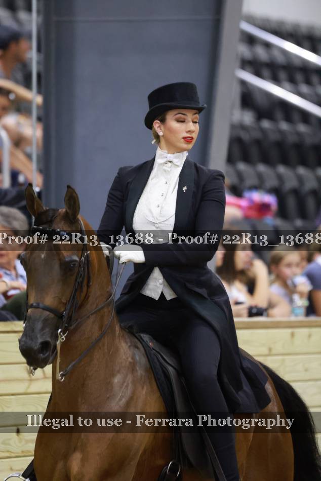 Proof 22R13_13688