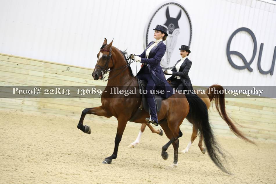 Proof 22R13_13689