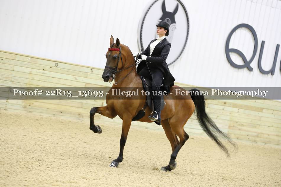 Proof 22R13_13693