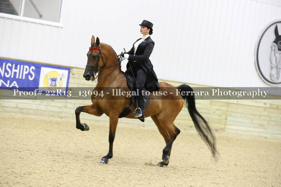 Proof 22R13_13694