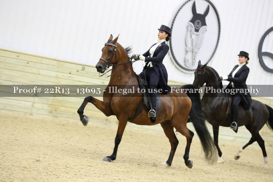 Proof 22R13_13695