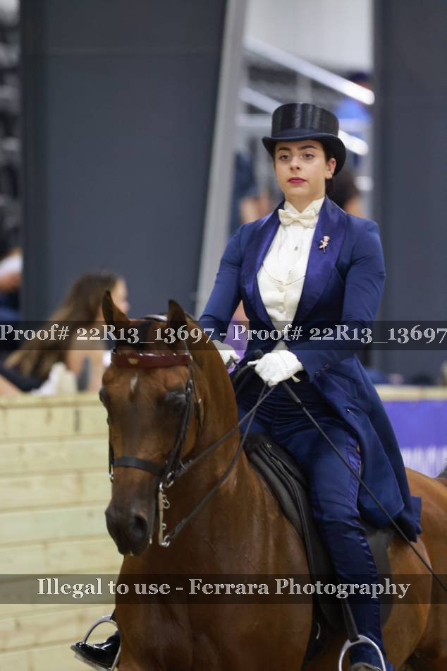 Proof 22R13_13697