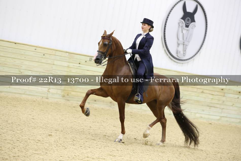 Proof 22R13_13700