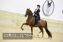22R13_13700 proof