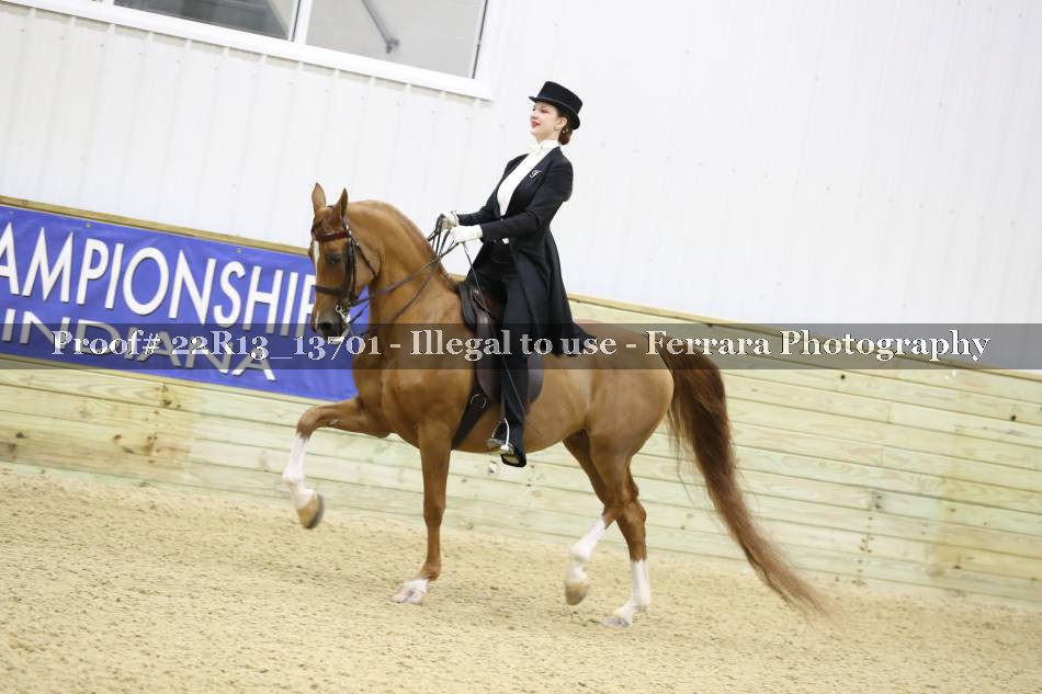 Proof 22R13_13701