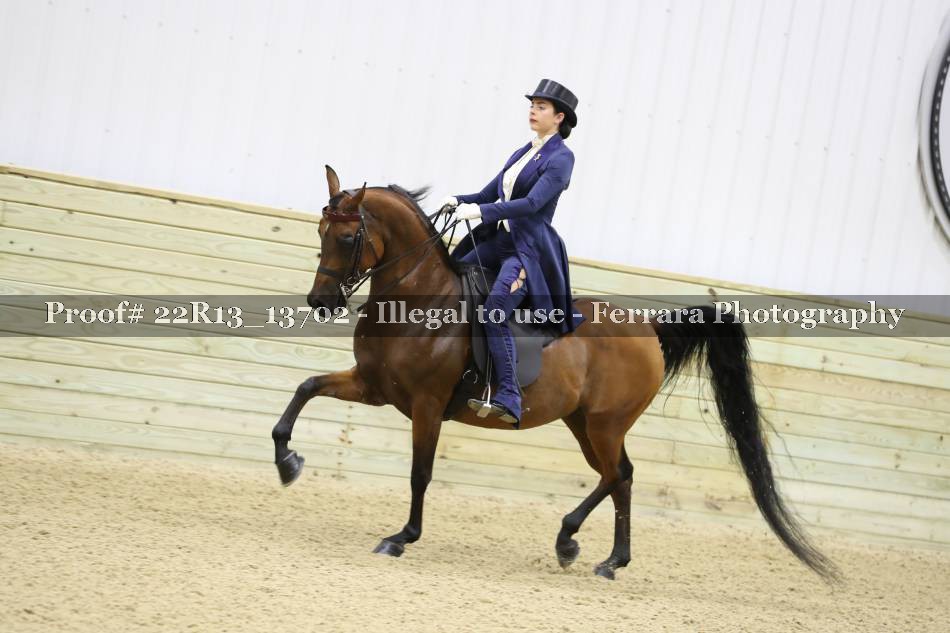 Proof 22R13_13702