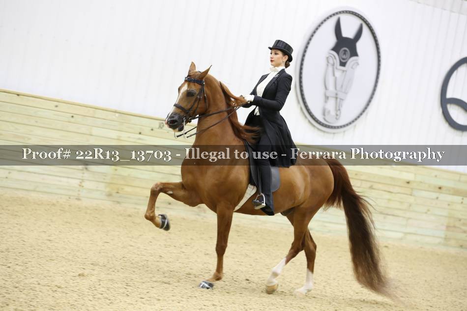 Proof 22R13_13703