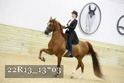 22R13_13703 proof