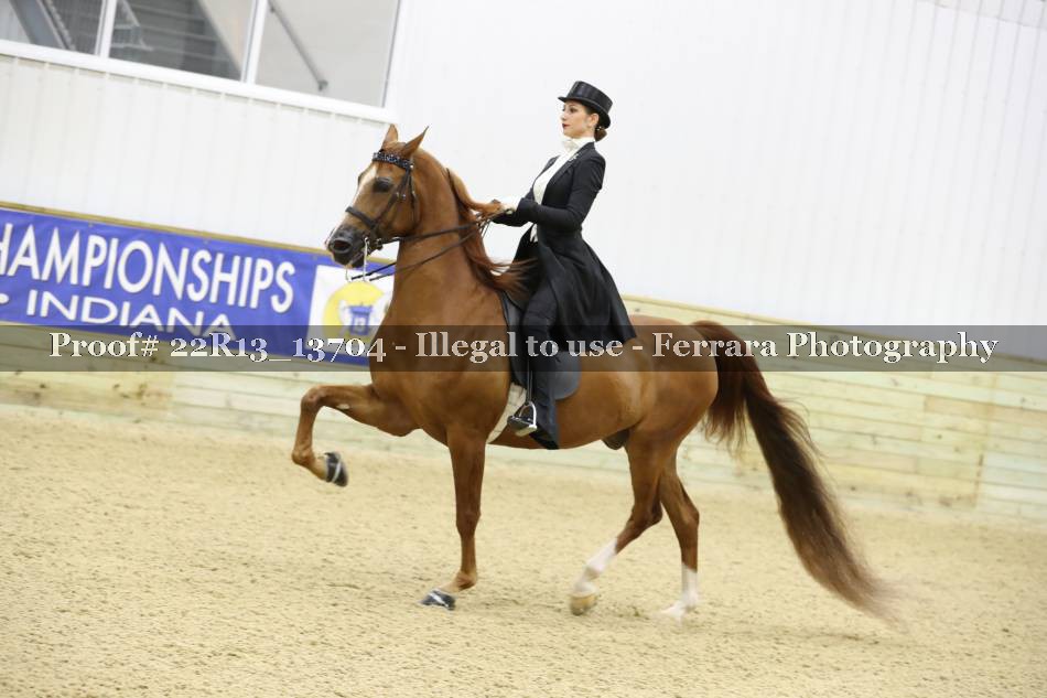 Proof 22R13_13704