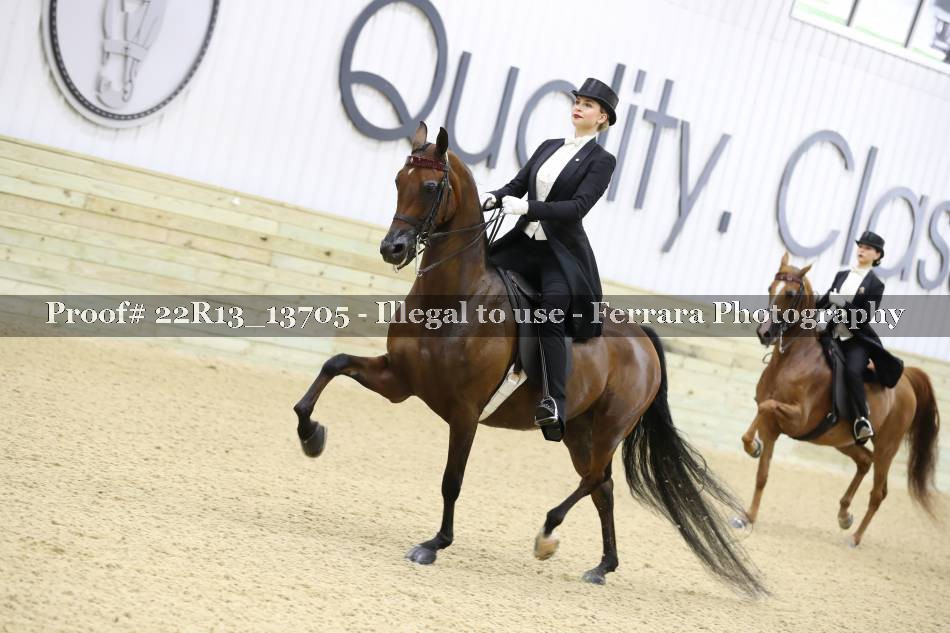 Proof 22R13_13705