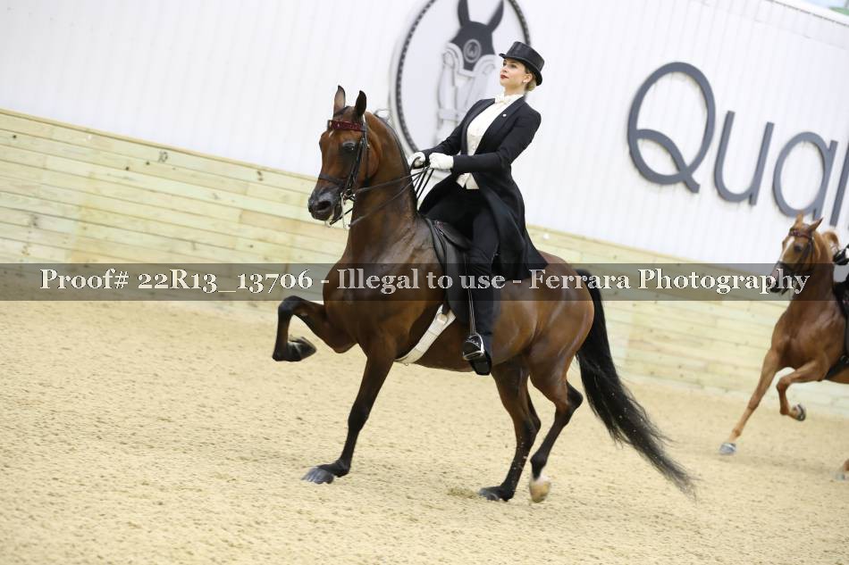 Proof 22R13_13706