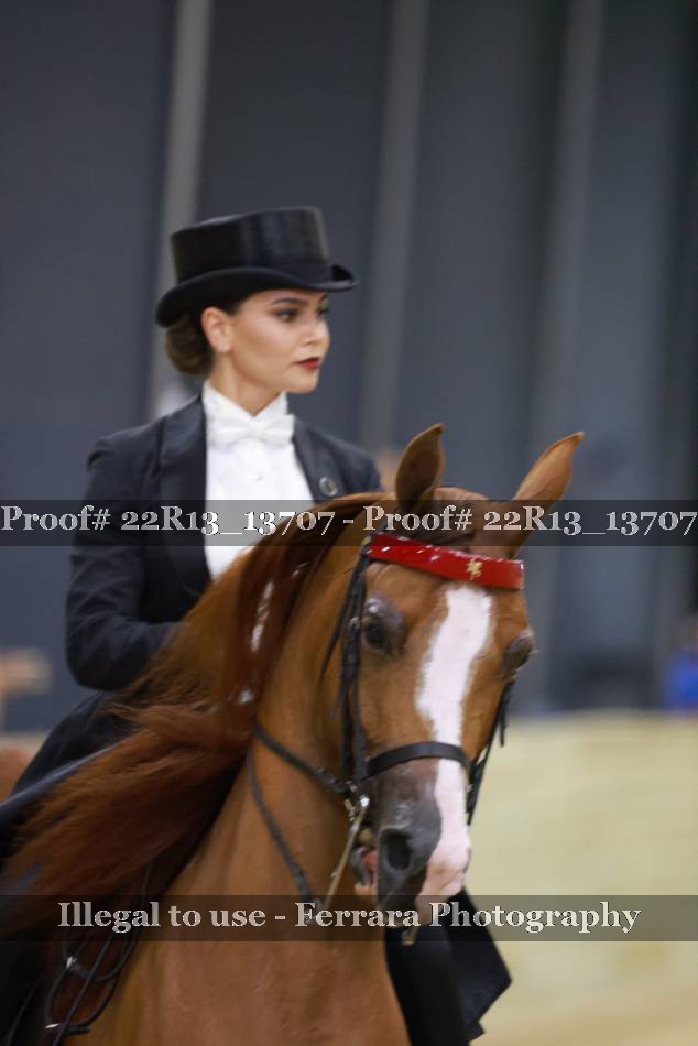 Proof 22R13_13707