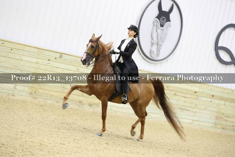 Proof 22R13_13708