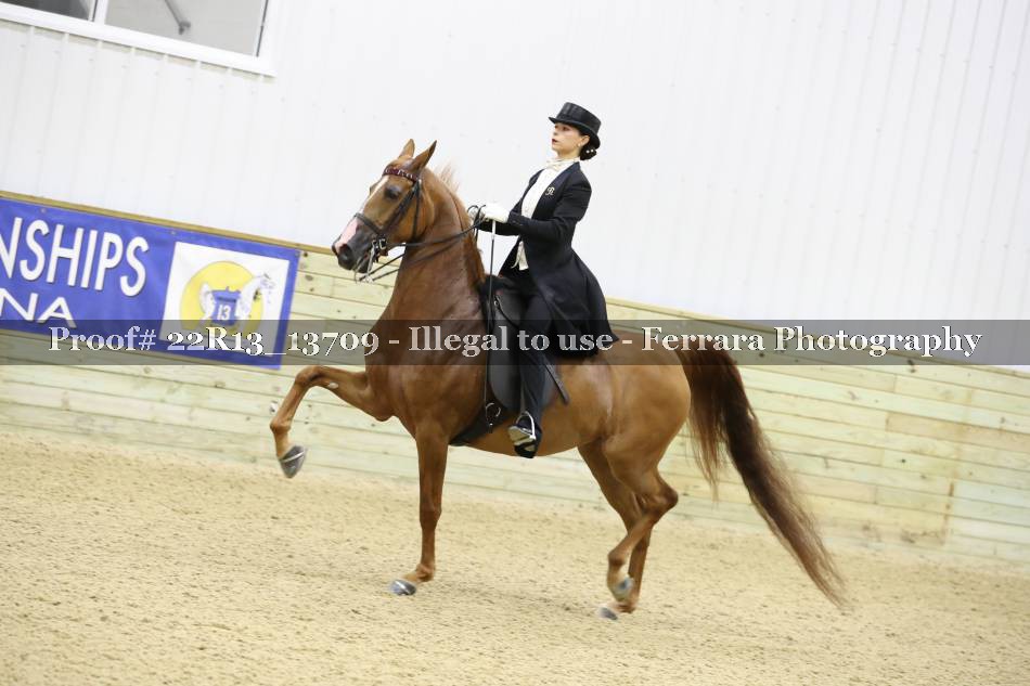 Proof 22R13_13709
