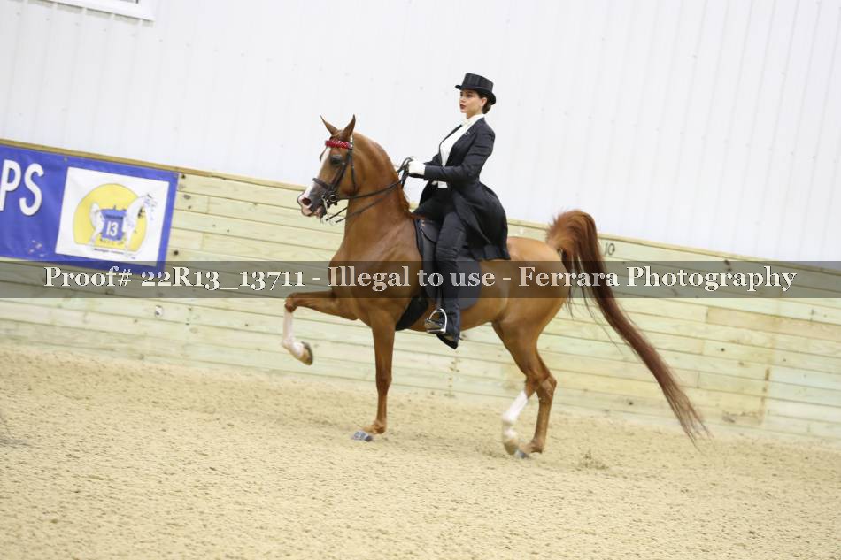 Proof 22R13_13711