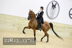 22R13_13714 proof