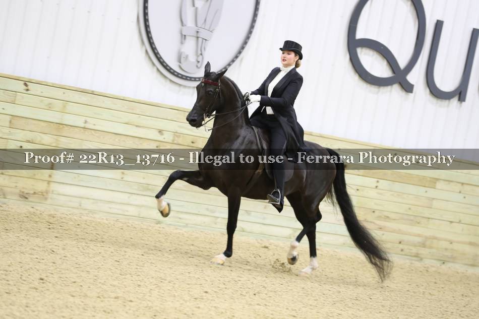 Proof 22R13_13716