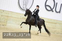 22R13_13716 proof