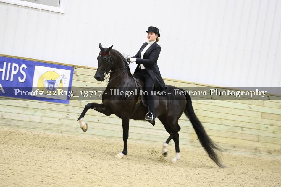 Proof 22R13_13717