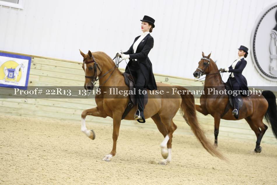 Proof 22R13_13718