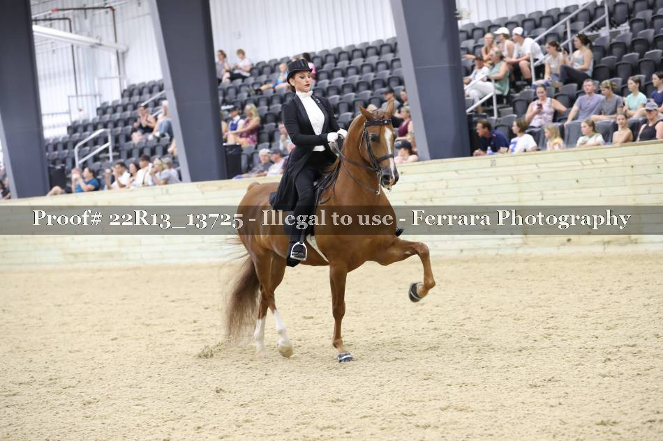 Proof 22R13_13725