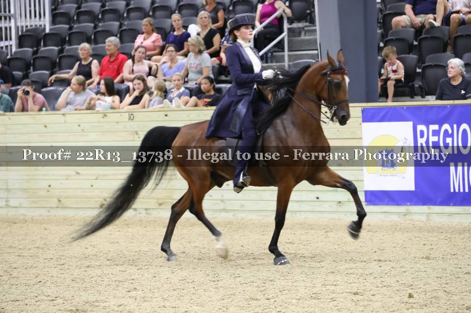 Proof 22R13_13738