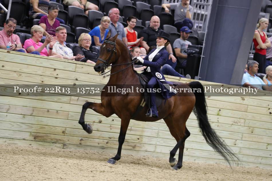 Proof 22R13_13752
