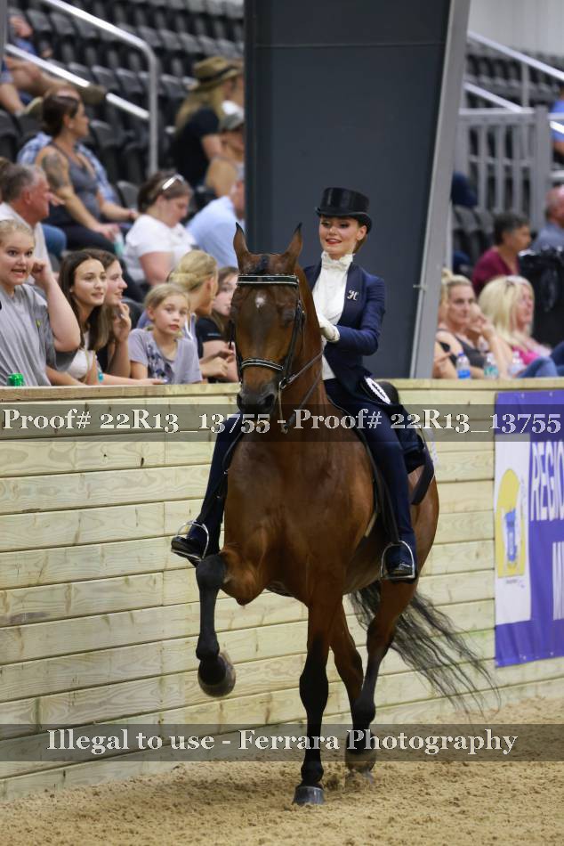 Proof 22R13_13755