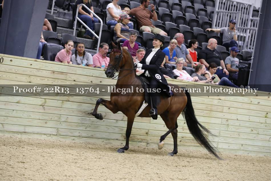 Proof 22R13_13764