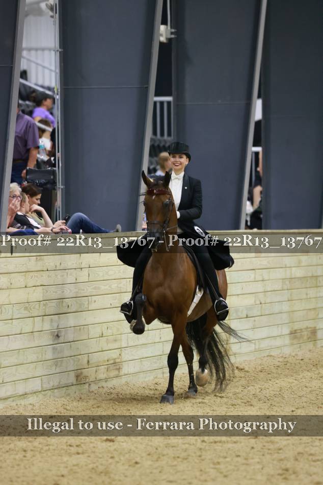 Proof 22R13_13767