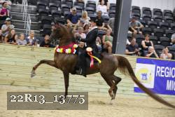 22R13_13775 proof