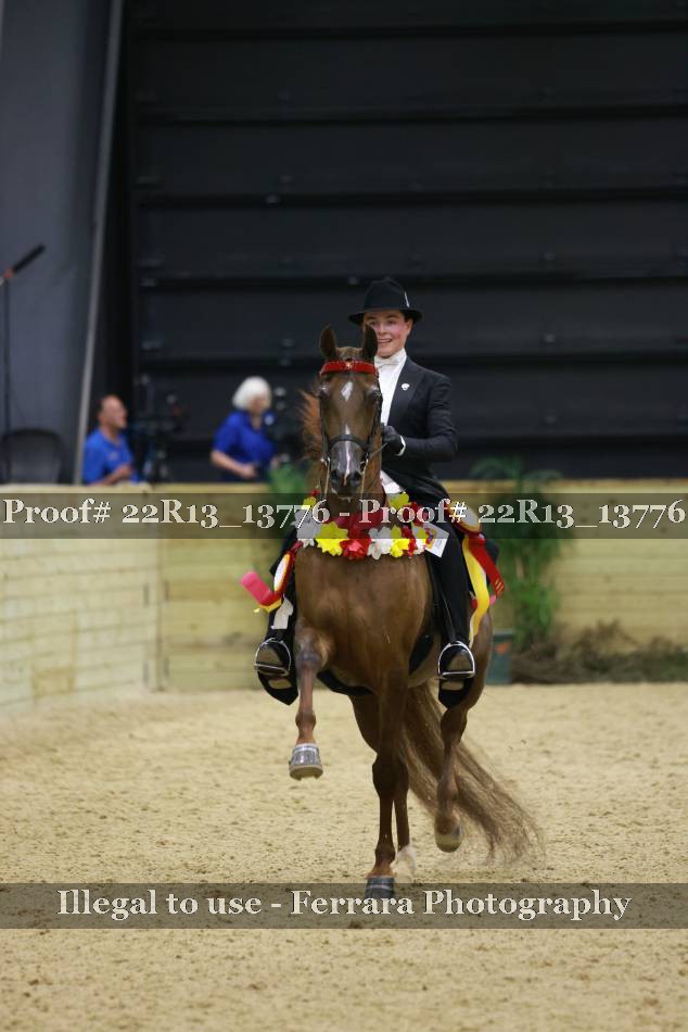 Proof 22R13_13776
