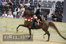 22R13_13777 proof