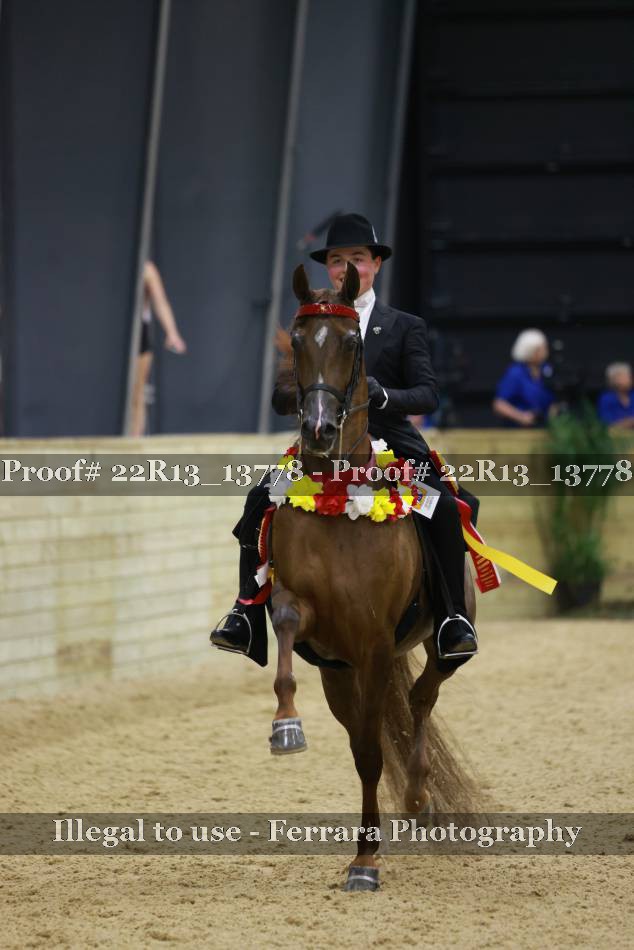 Proof 22R13_13778