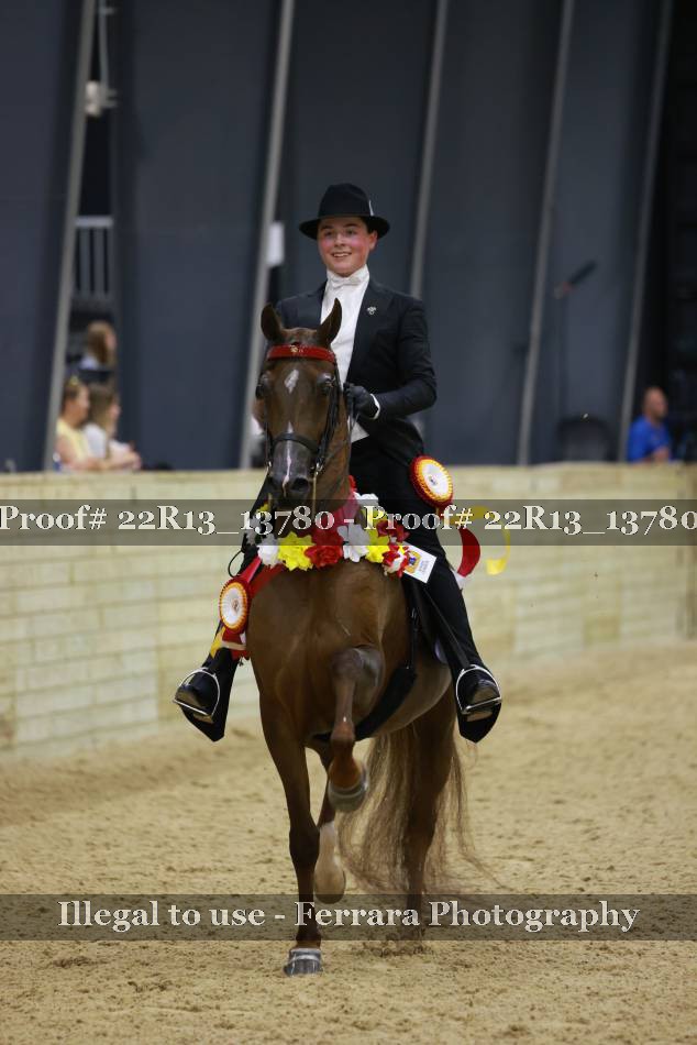 Proof 22R13_13780