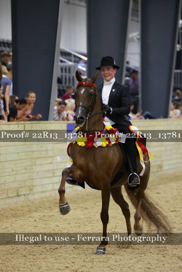Proof 22R13_13781