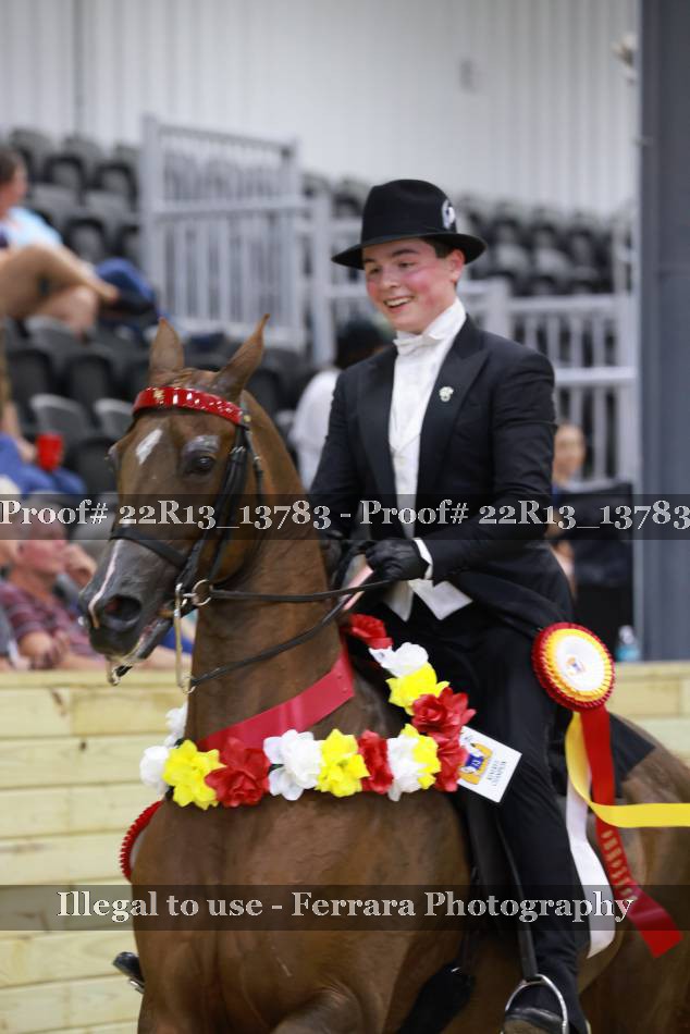 Proof 22R13_13783