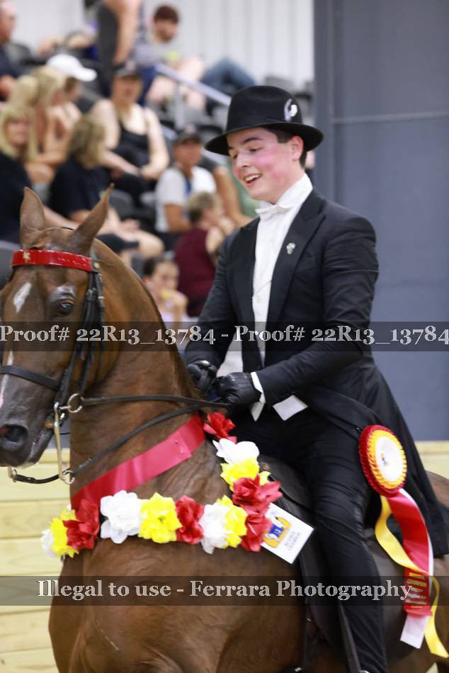 Proof 22R13_13784