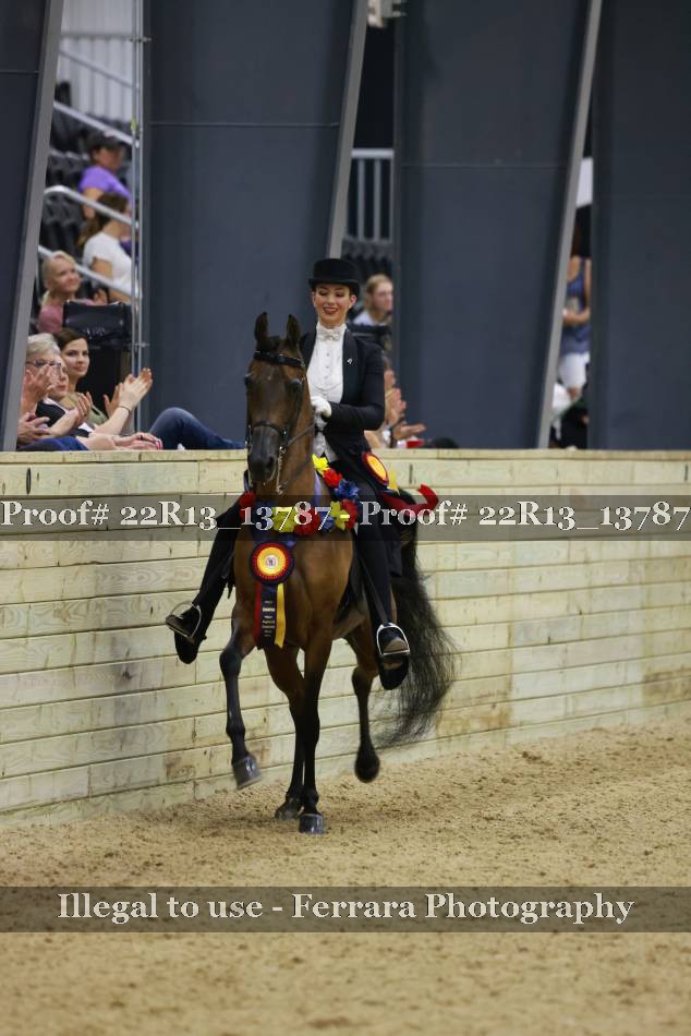Proof 22R13_13787