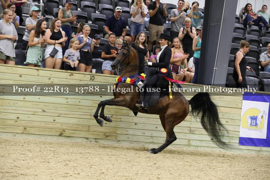 Proof 22R13_13788