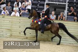 22R13_13790 proof