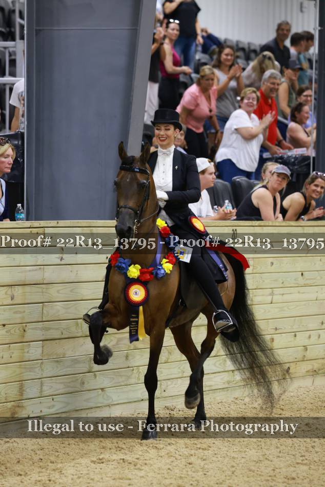 Proof 22R13_13795