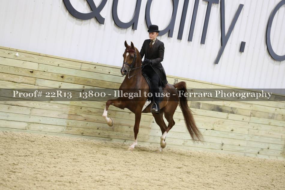 Proof 22R13_13800