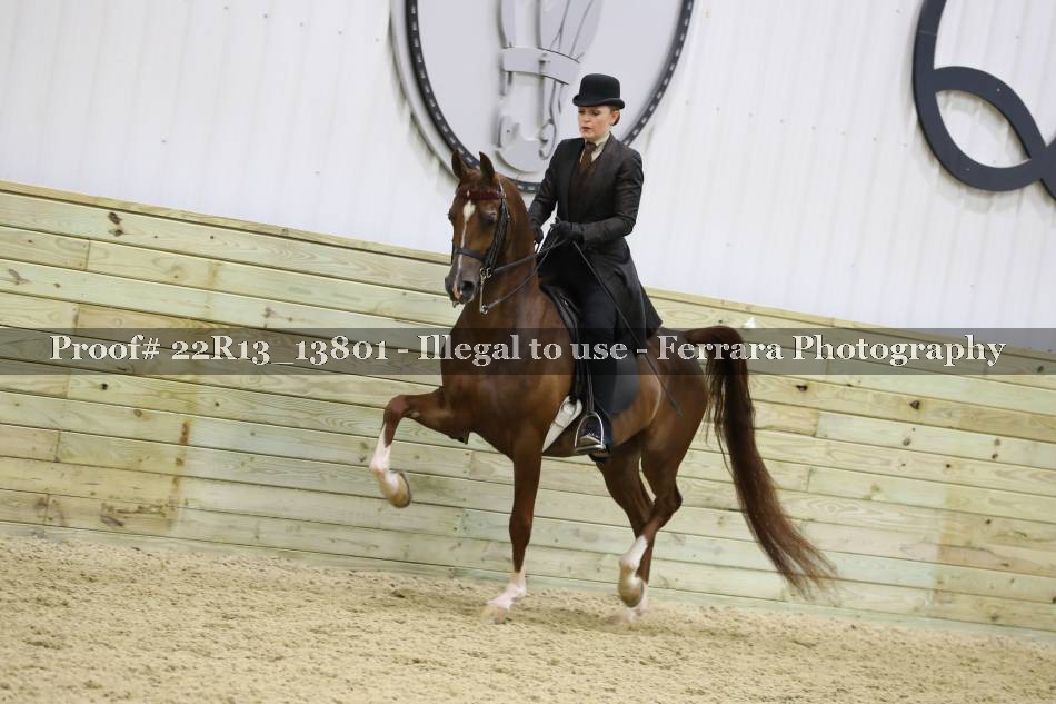 Proof 22R13_13801