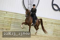 22R13_13801 proof