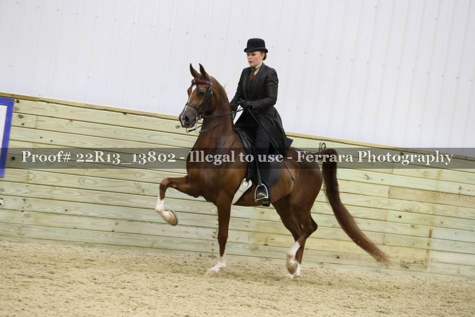 Proof 22R13_13802