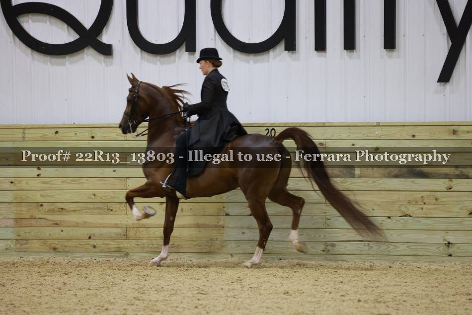 Proof 22R13_13803