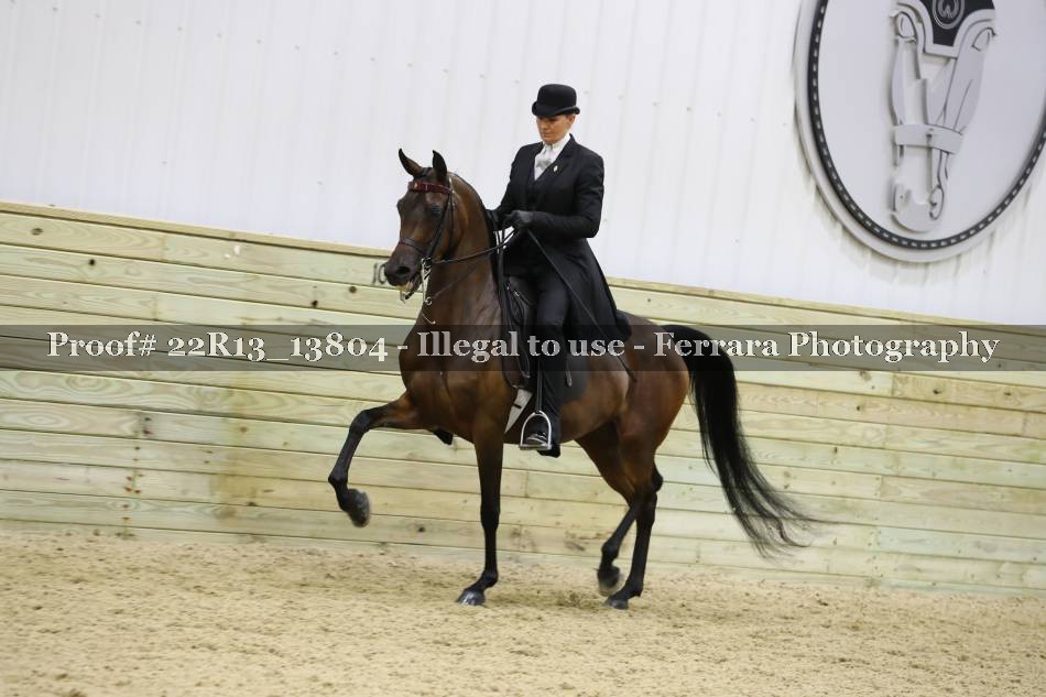 Proof 22R13_13804