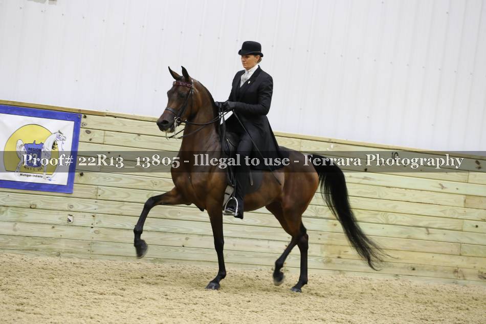 Proof 22R13_13805