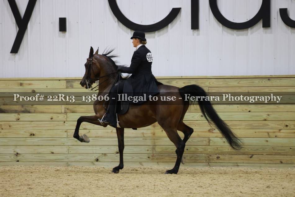 Proof 22R13_13806
